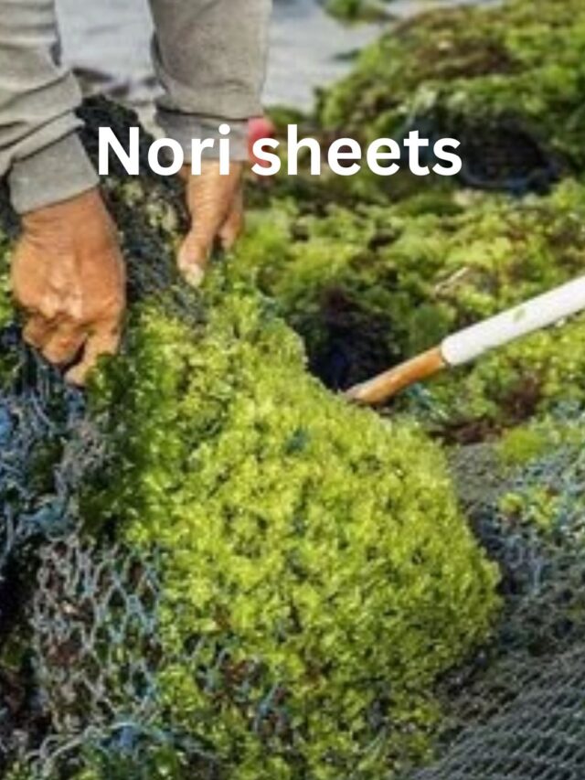 क्या आप जानते है Nori sheets क्या है? यह Vitamin B12 के लिए सबसे अच्छा होता है